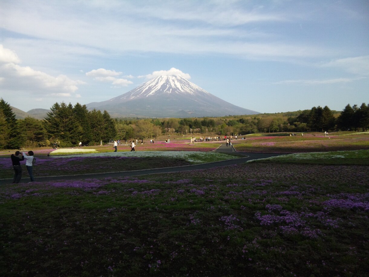 真の声がわかるようにできる限りの手助けを致します 現実をしっかり見て、一緒に考えていきましょう。。。 イメージ4