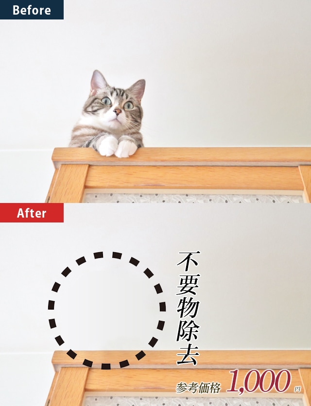 写真画像の切り抜き&補正致します jpeg＋psd＋pngデータ納品致します。 イメージ5