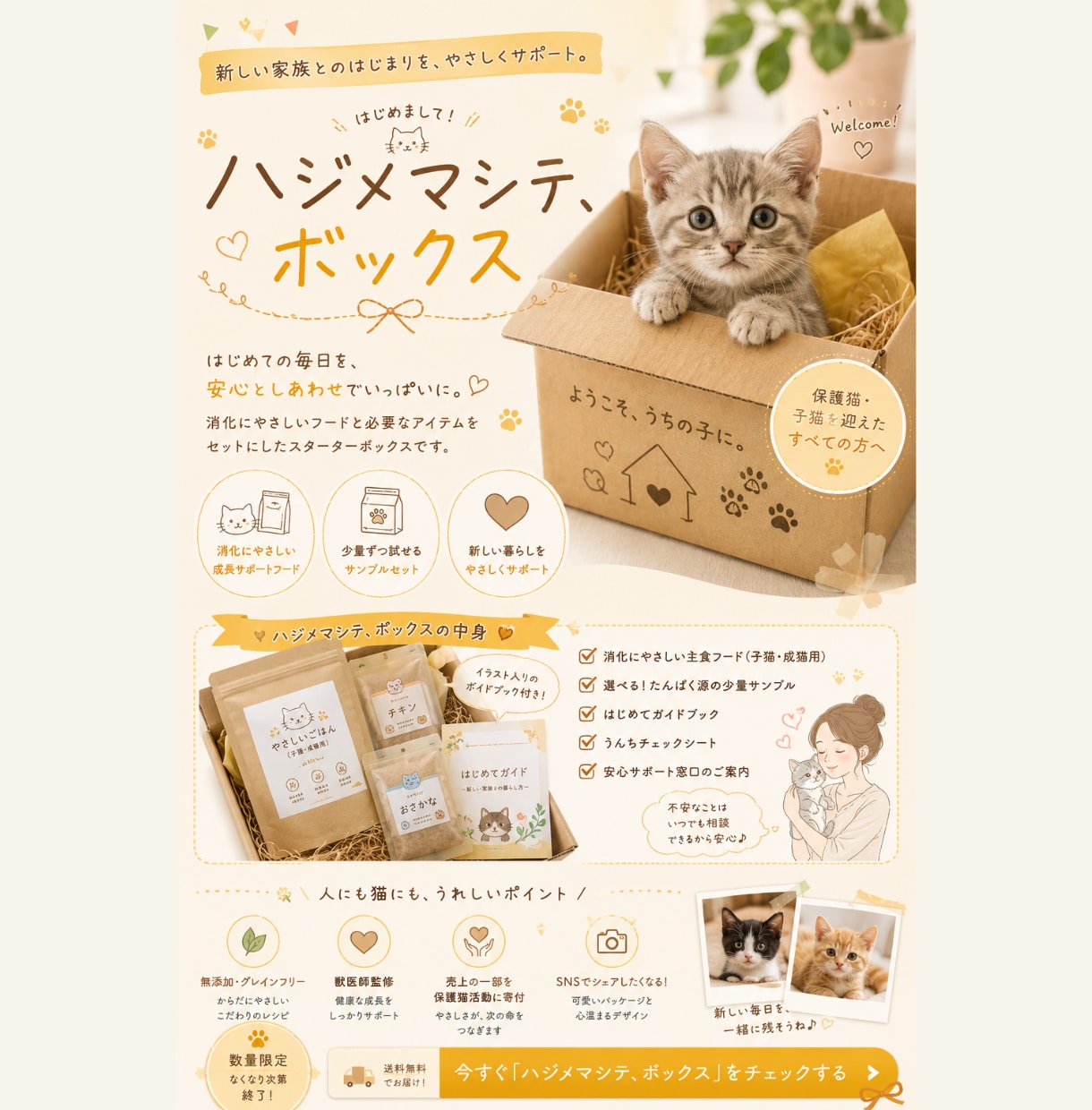 LPのファーストビューを丁寧にデザインします 商品の魅力が伝わる、やさしく見やすいデザインを制作します イメージ2