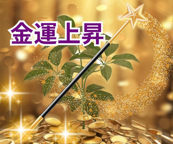 お金の引き寄せができなかった人の[金運]あげまます 波動上昇★開運★間違った思い込みを外して豊かな人生に イメージ3