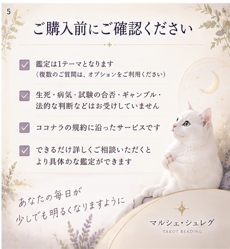 タロットで今のお悩みを丁寧にうらないます 気持ち、未来、人間関係を丁寧に読み解きます イメージ5