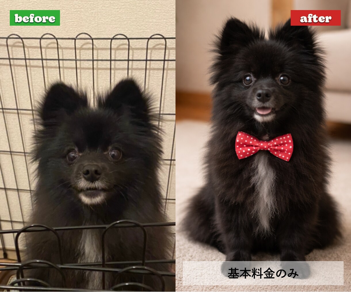 愛犬、愛猫のお写真を心温まるアート作品にします 写真1枚からうちの子を記念日、メモリアル、コスプレ風に イメージ5