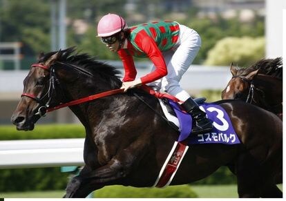 地方競馬情報公開競馬が好きなかた買い方教えます そんな人に少しでもお役人立てる情報を提供します。 イメージ1