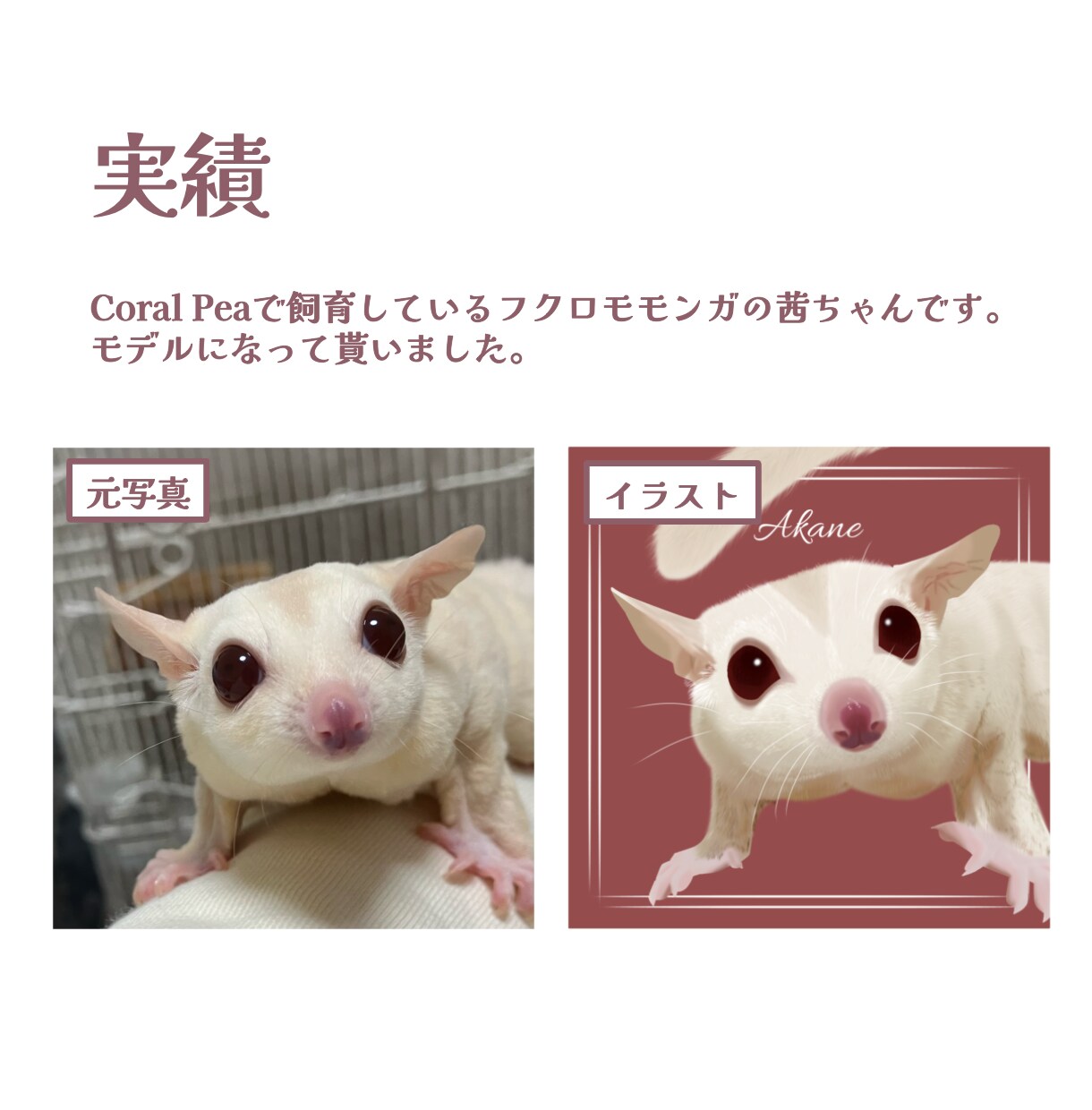 動物のイラストお描きします 小動物から爬虫類まで！どんな動物もリアルでやわらかい雰囲気に イメージ5
