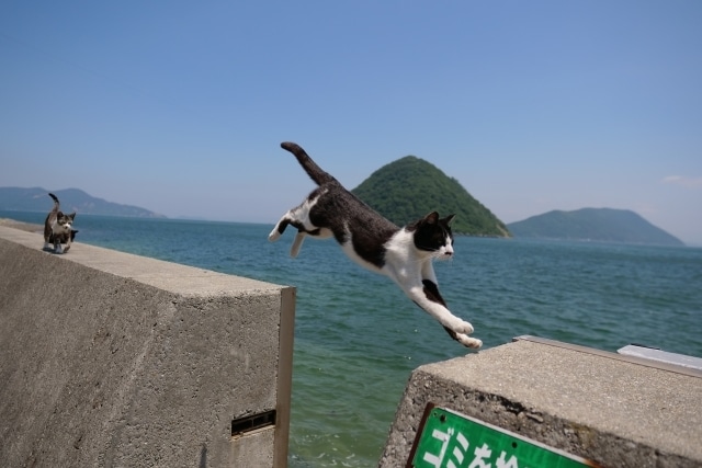 不要物消去します 写りこんでしまったものでも削除して背景合成します。 イメージ5