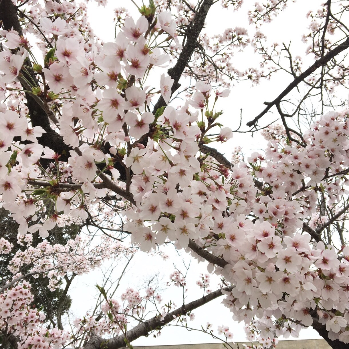 貴方の悩みに答えます 小さい事でもok！どん底からはいあがった経験者が導きます！ イメージ3