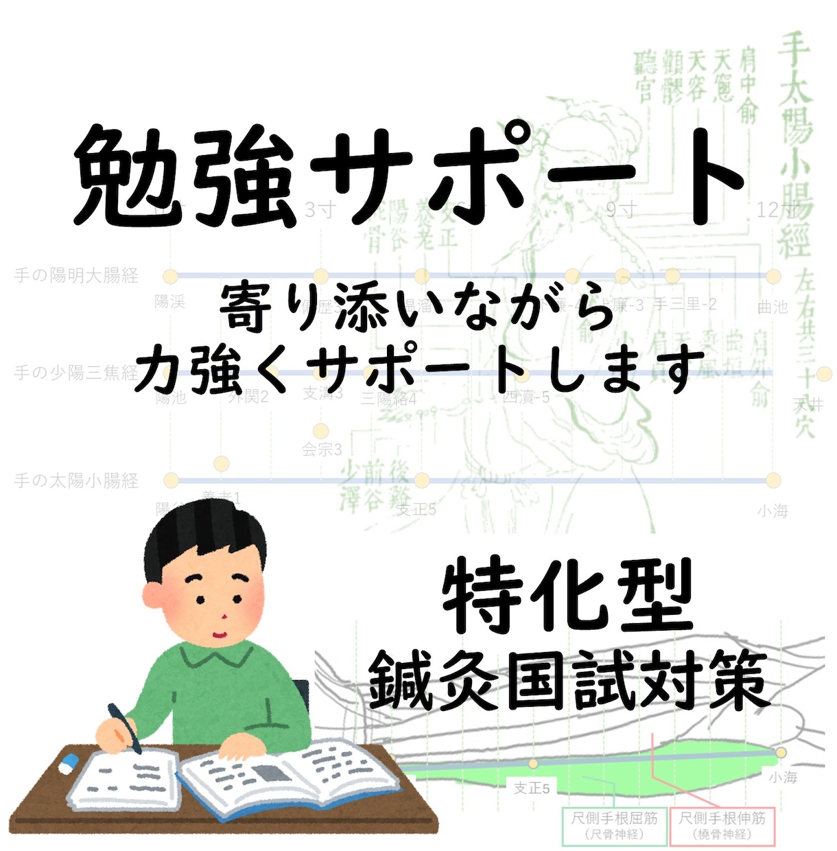 鍼灸国試　オンライン家庭教師　勉強をサポートします 現役教員が勉強継続を寄り添いながら力強くサポートします イメージ1