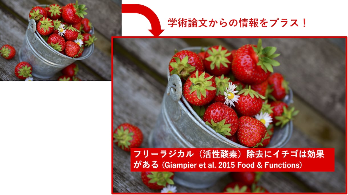 あなたの製品に学術論文のデータを追加します ランディングページ（LP）が物足りないと感じたらご利用下さい イメージ2