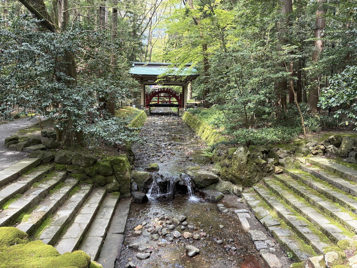 弥彦神社であなたのためにおみくじを引きます 迷った今に必要な言葉を届けます イメージ3