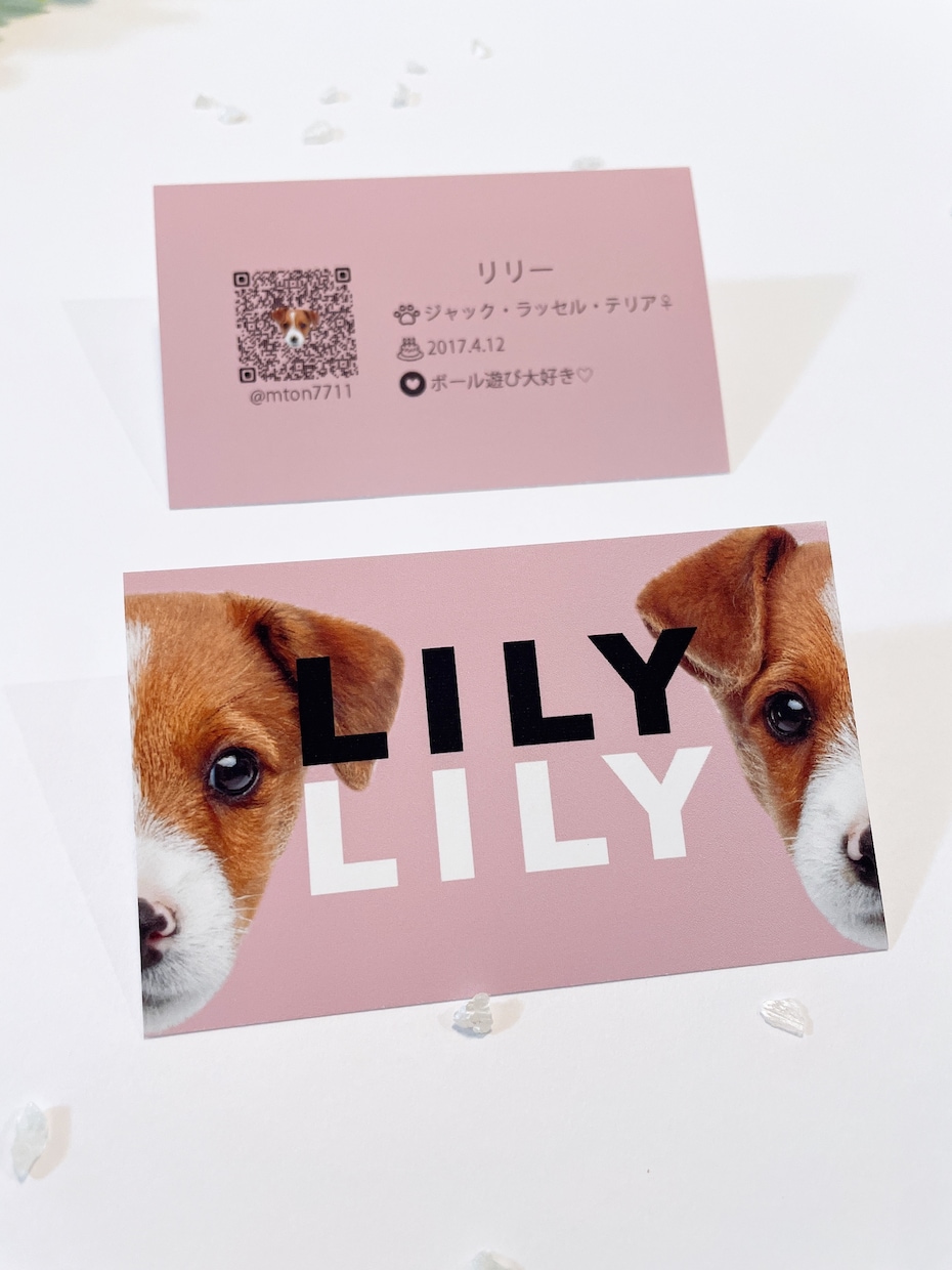 ご家族の可愛いお写真を名刺にします My fam card（マイファムカード）❶／うちの子名刺 イメージ3