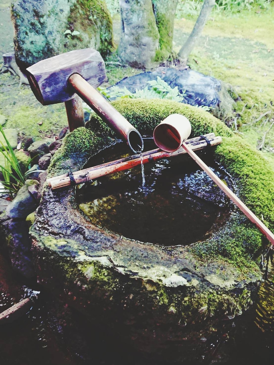 相手の本音、お二人の行く末を視ます 気になるあの人についてとことん追及します★ イメージ1