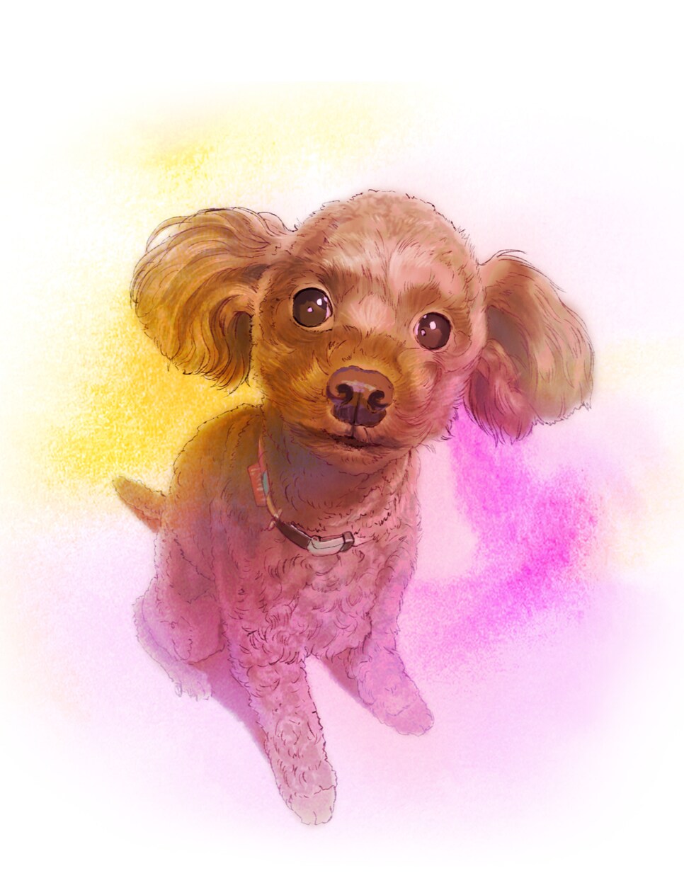 ペットの水彩画風イラスト作成します 10年絵を描く仕事をしている経験を活かし作成いたします！ イメージ3