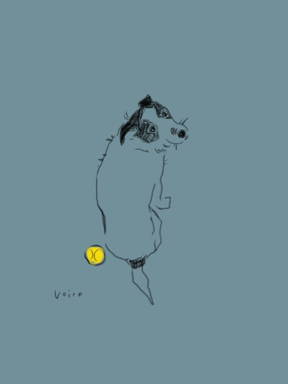 シンプルな動物イラスト描きます お部屋に飾ったり、ロゴにしたりできます。 イメージ6
