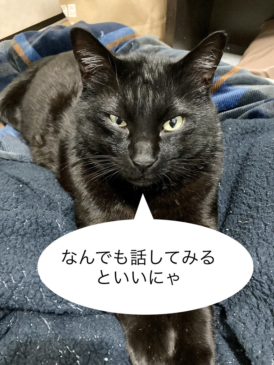愚痴を聞いたり話し相手になったりします 話を聞くのが得意なので愚痴や相談を聞いています イメージ1