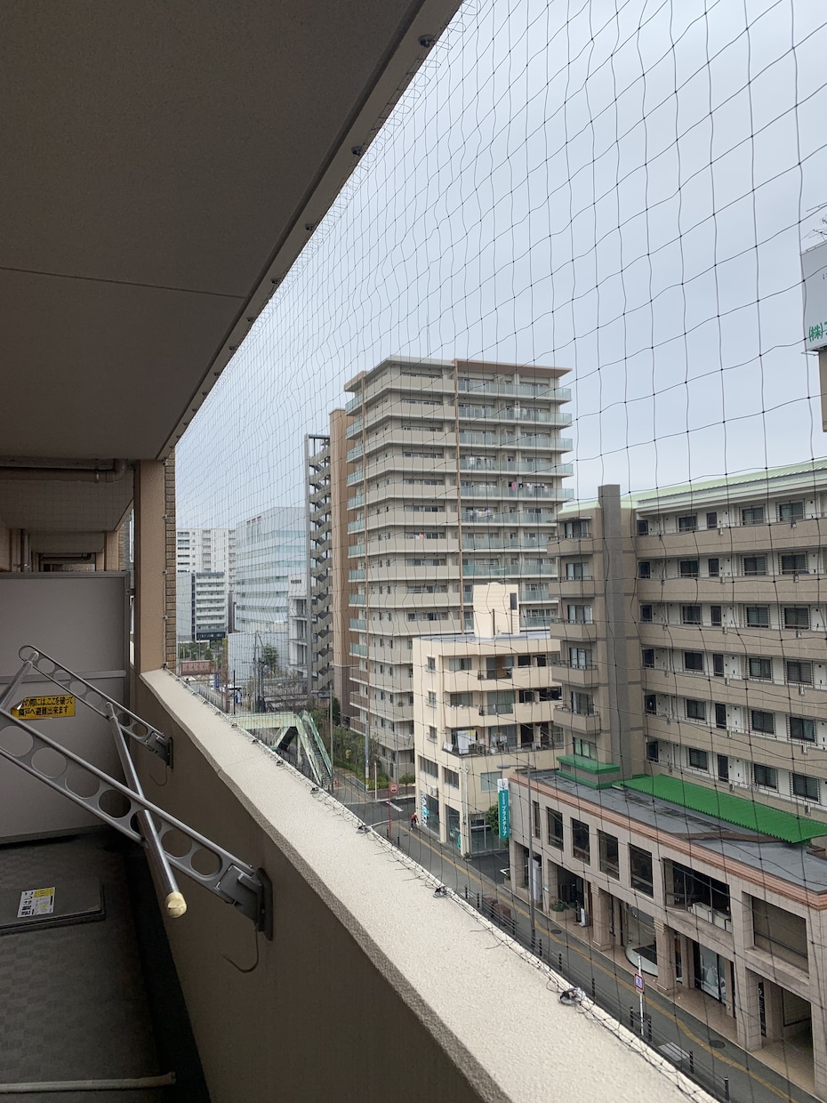 鳩よけネットの取り付けサポートします 【材料一式送付】取付けチャレンジされる方にプロがアドバイス イメージ1