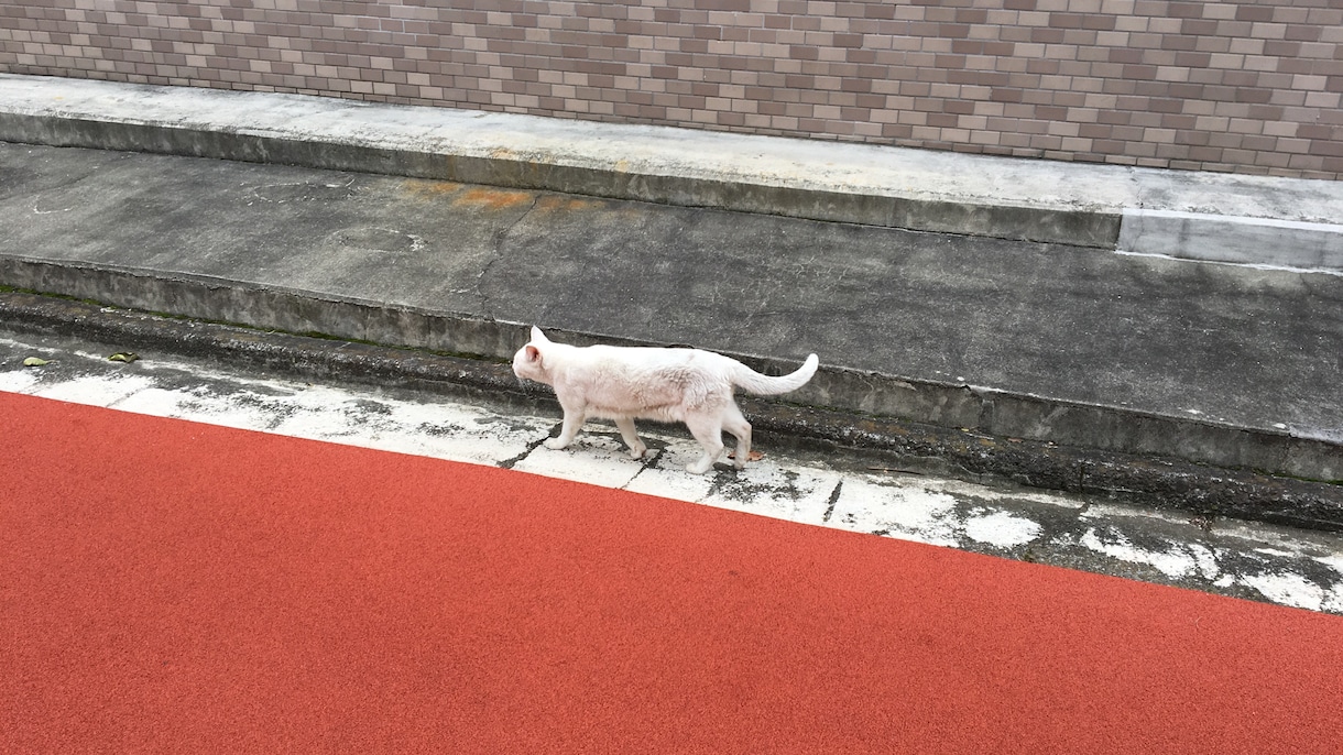 しゃっくりの止め方教えます 。わっ！とかではなく。ある方法で止まります。 イメージ3