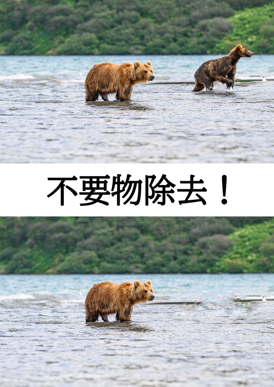 高品質な画像加工承ります 切り抜き・色変換・赤目修正・不要物除去 イメージ5