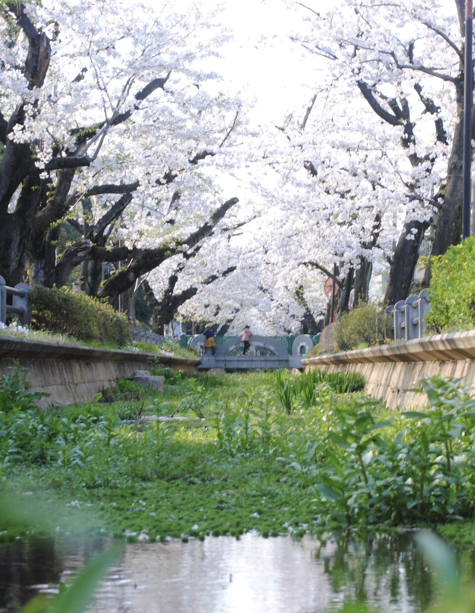 写真の素材提供･合成を行ってます 最大限丁寧なサービスを心がけております！ イメージ5