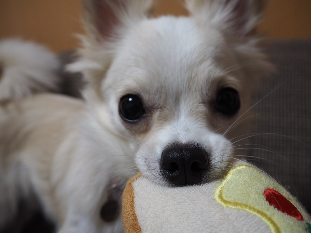 どんなお話も寄り添います ❤️看護師がお話しお聞きします❤️ イメージ1
