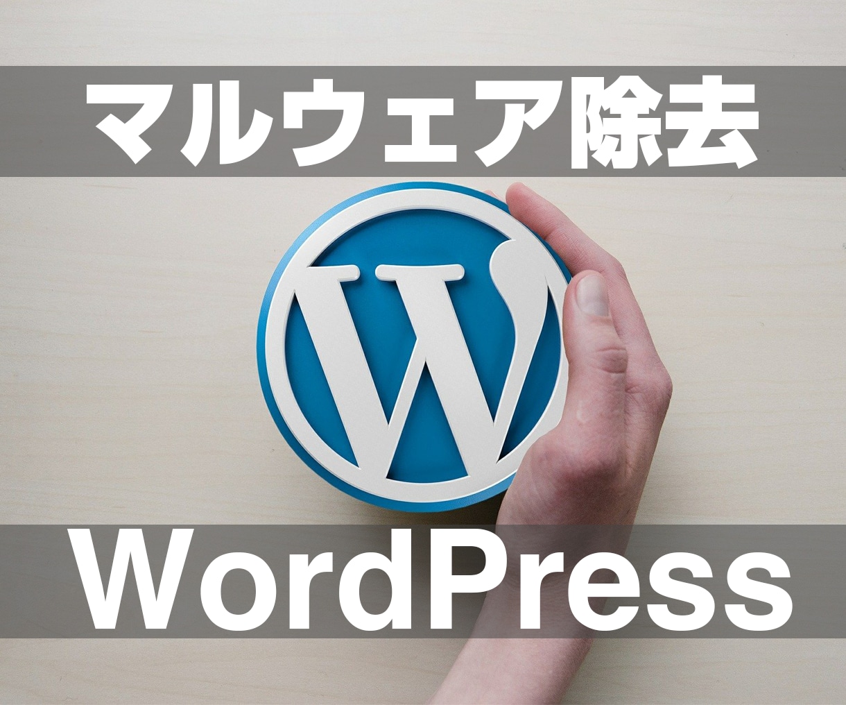 WordPressに混入されたマルウェア除去します ハッキングされたサイトを正常化させます イメージ1