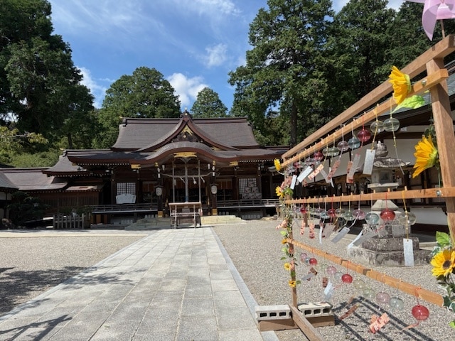 徳島県 大麻比古神社 代理参拝致します 心を込めて開運祈願致します。全体運アップを祈る現地ご祈願 イメージ8