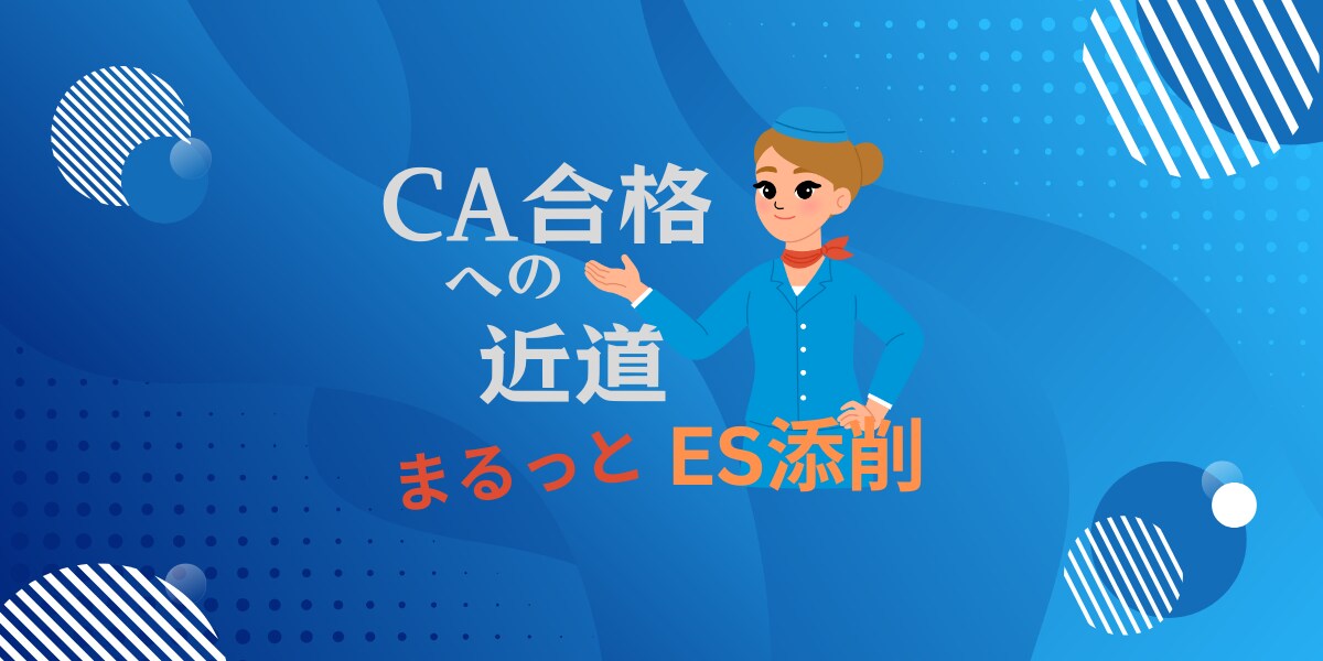 CA合格への近道！あなたのESまるっと添削します ANA、JAL他国内エアライン内定実績多数あり イメージ1