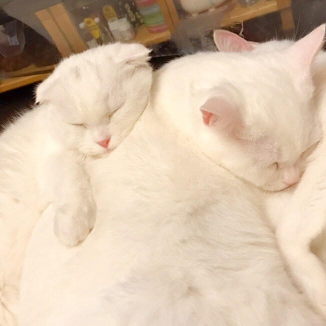 私にどーんと甘えてください！優しく受け止めます 大人でいることに疲れてしまったあなたへ。 イメージ7