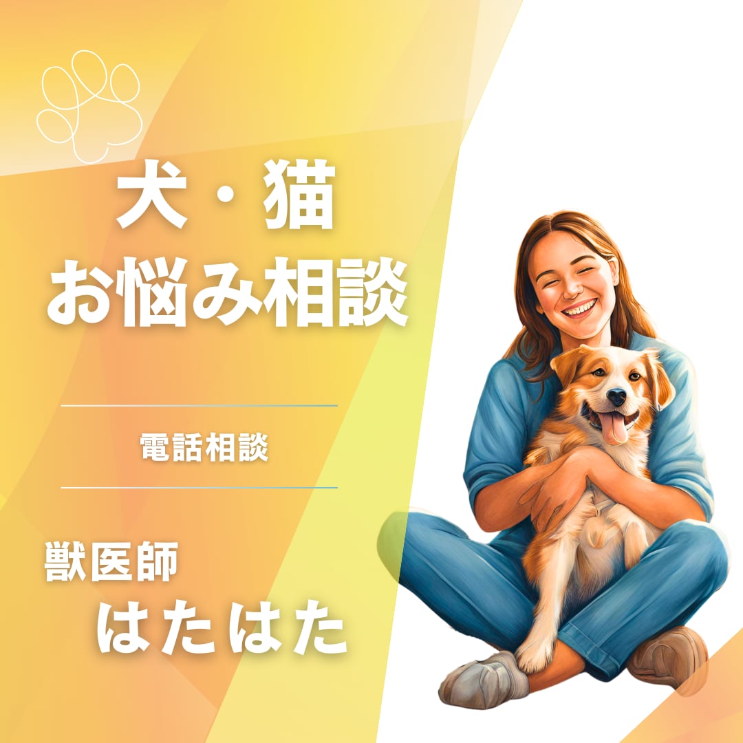 現役獣医師が、ペットのお悩み相談をお受けします 抱え込まず、どうぞお気軽にご相談ください！ イメージ1