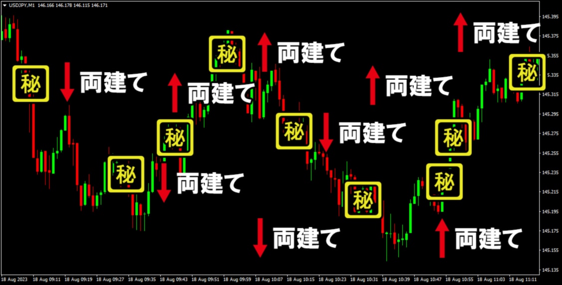 FX専業プロの両建て手法をお教えします 5年に渡ってトレードしてきた自信を持ってお勧めする両建て手法 イメージ3