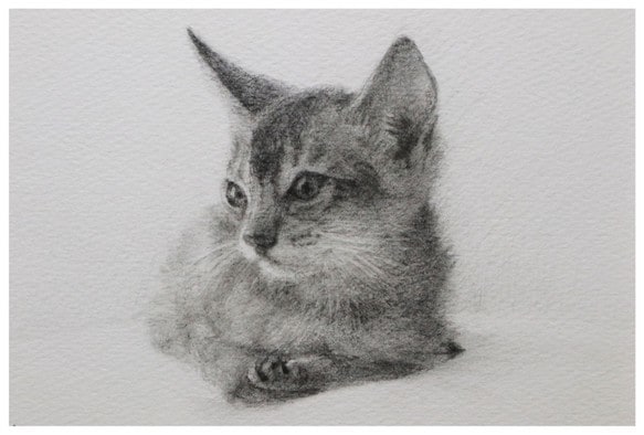 写真をそのまま手を加えて絵にします 記念写真や大事な写真・将来の予想絵まで仕上げます イメージ3