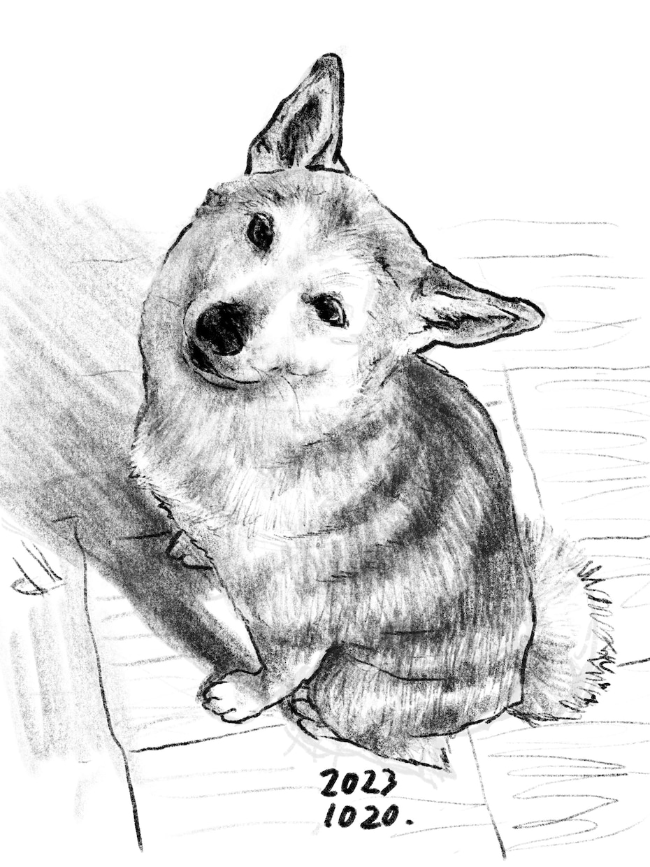 スケッチ風のイラスト制作いたします 写真から簡単手描き風スケッチイラスト イメージ3