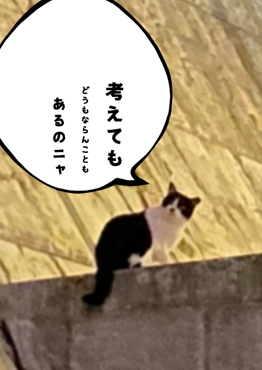 方言丸出しで悩み聞きます 方言のほうが安心感あることない？ | 恋愛相談・アドバイス | ココナラ