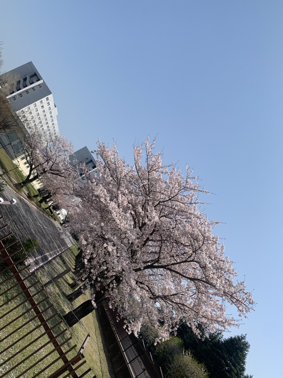 あなたの心に寄り添います 普段吐き出したくても我慢していることやどんな事でも聞きます！ イメージ6