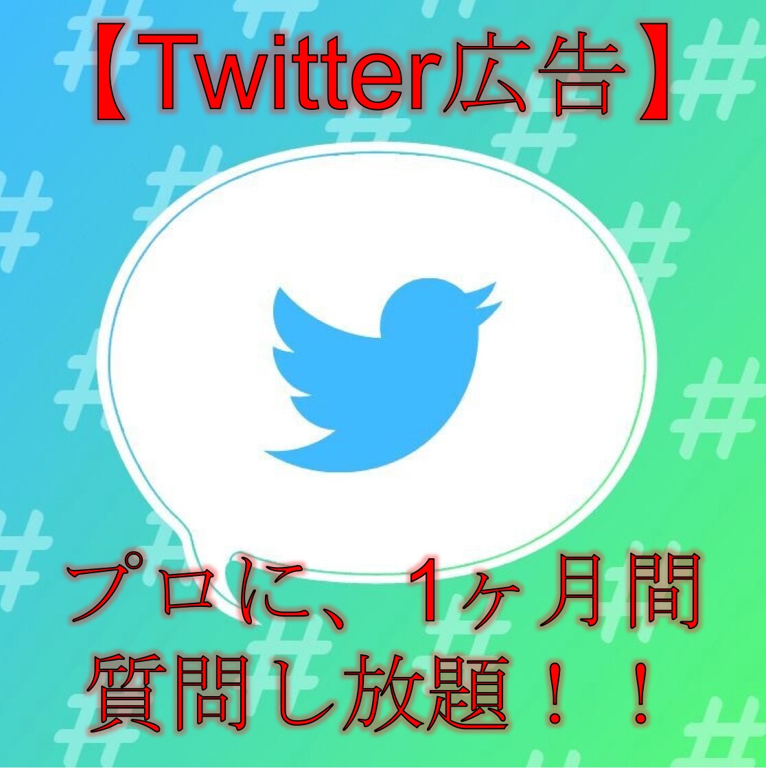 Twitter広告のプロに１ヶ月質問し放題できます Twitter広告運用歴3年のプロです イメージ1