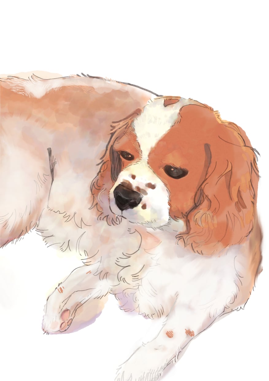 かわいいペットの似顔絵イラストお描きします リアルになり過ぎないタッチで柔らかタッチで描きます！ イメージ1