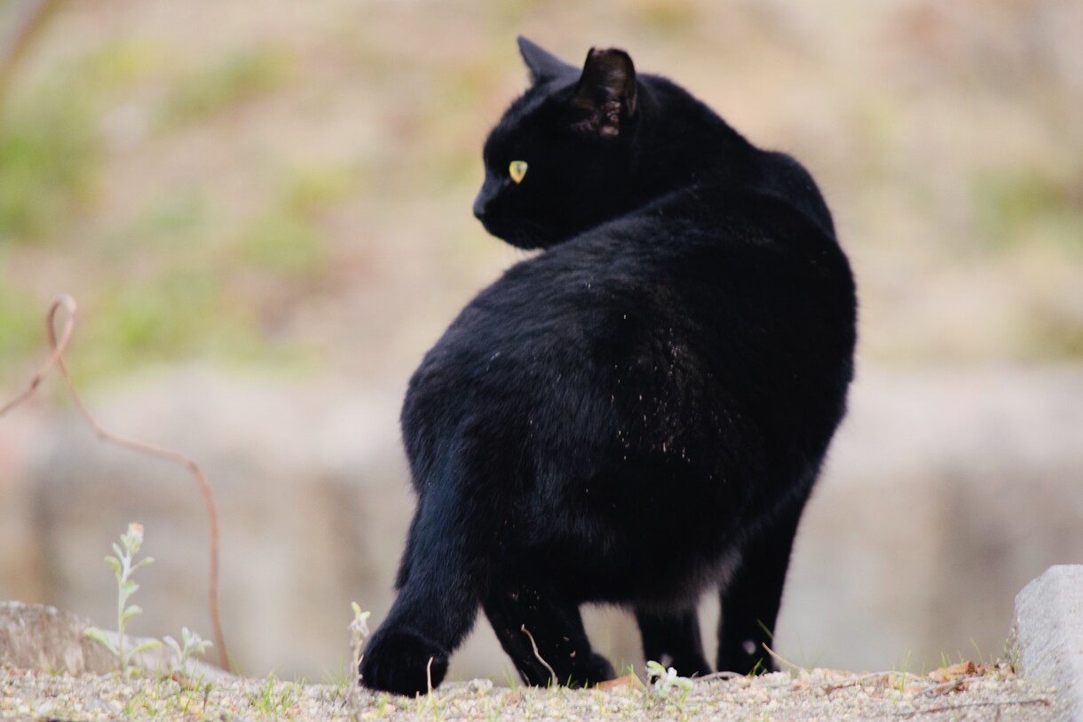 誰にも話せない苦しい思いに寄り添います 自分の存在に価値を見出せないと感じているあなたへ イメージ3