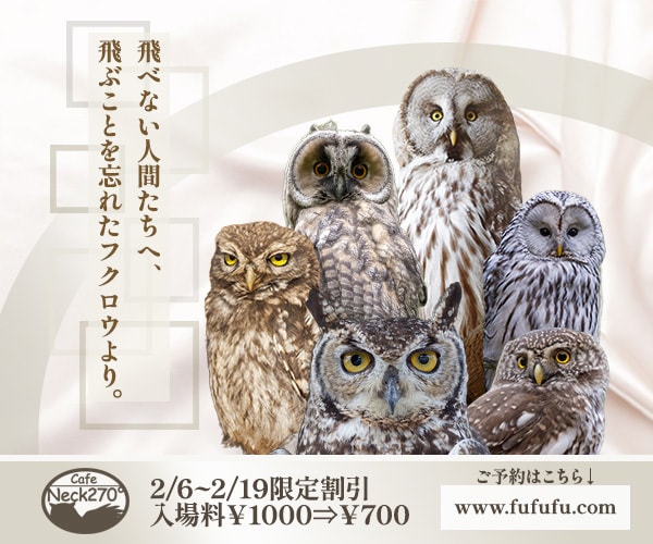 広告バナーや色々のデザインいたしまます ご希望に寄り添ったデザインいたします！ イメージ3
