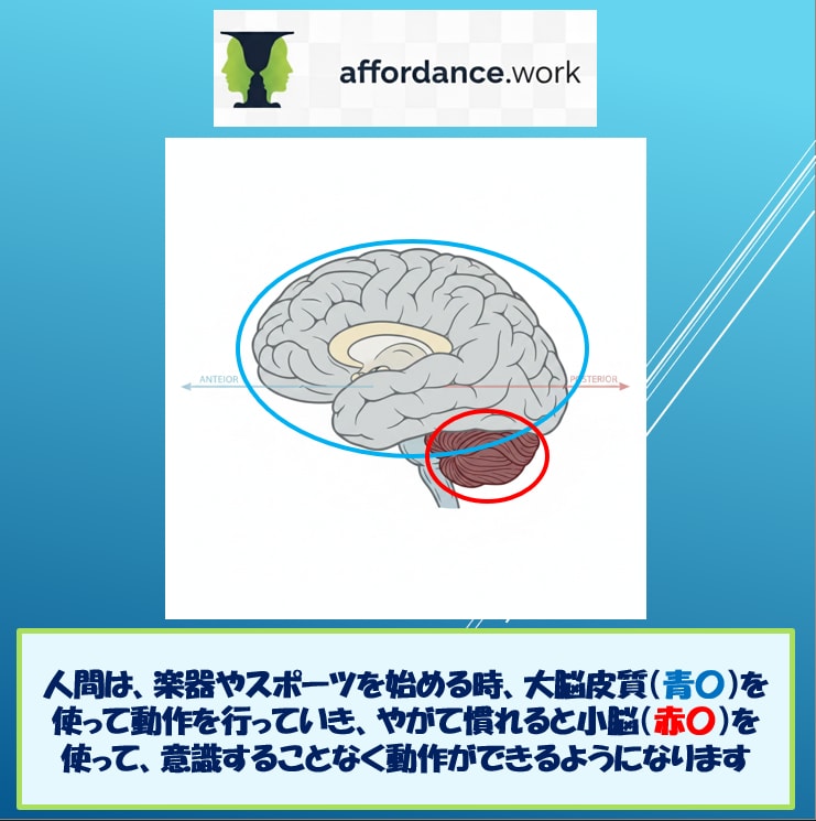 現役OTがイップスによる不調の解説＆相談受けます 根性論やメンタルではない！脳と身体の「誤学習」にアプローチ！ イメージ2