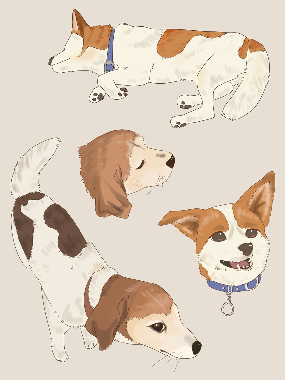 ペットの写真をイラストにします 写真のそのままでも可愛いけれど、絵におこしてみませんか？ イメージ3