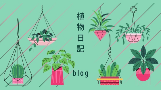 高品質なお好みのヘッダー画像を作成します 誠実に丁寧にご要望に沿って仕上げます♪ イメージ4