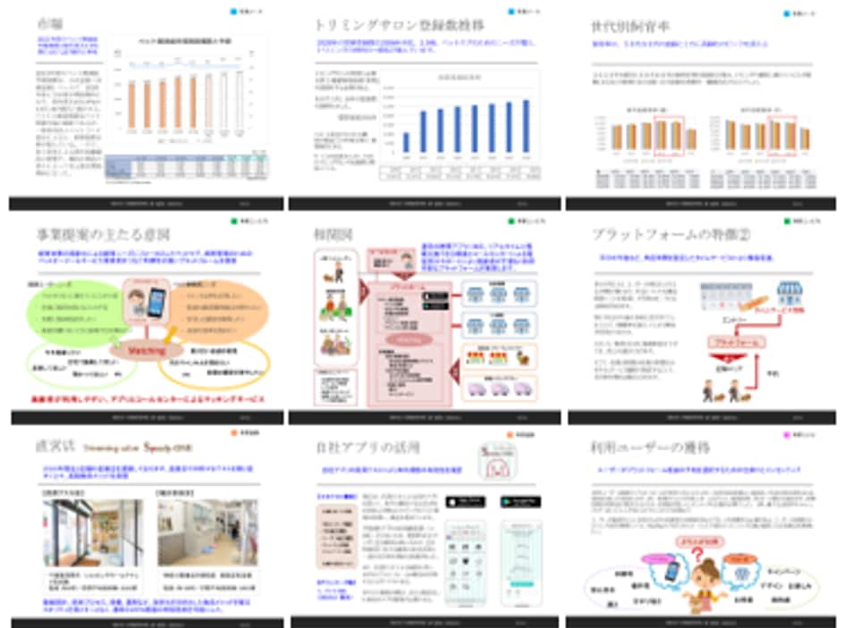 事業計画書、業務フロー、新規事業、作成します どこに頼んでいいかわからない資料をワンストップで作成します。 イメージ4