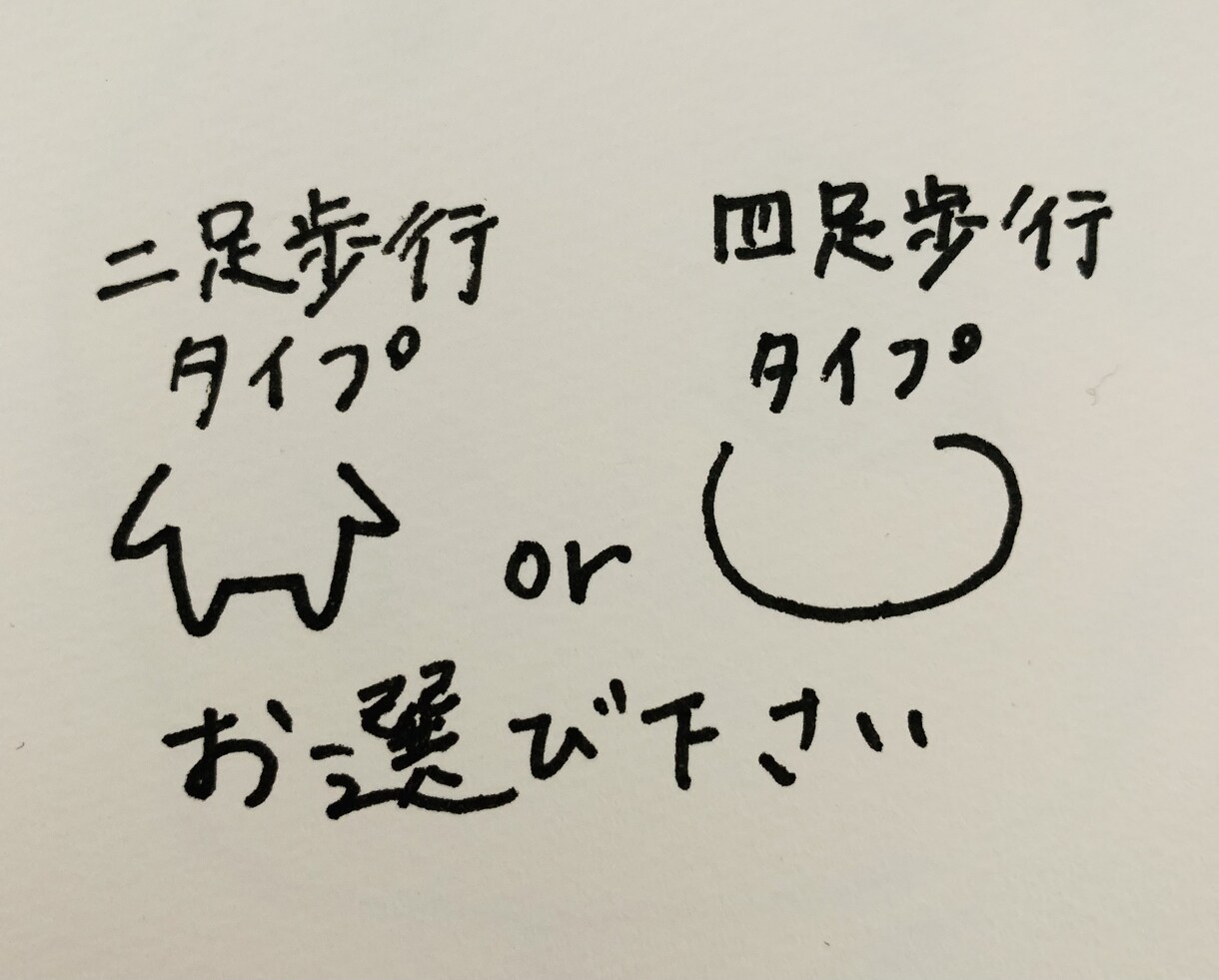 ゆるい動物のイラスト描きます くまやねこなどの動物をゆるーいイラストにしてご提供します。 イメージ4