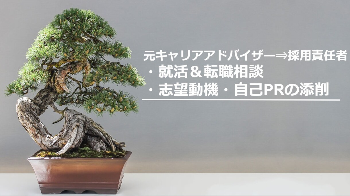 就活・転職の味方！自己PRや志望動機など作成します 元キャリアアドバイザー＆採用コンサルの採用責任者が作成＆添削 イメージ1