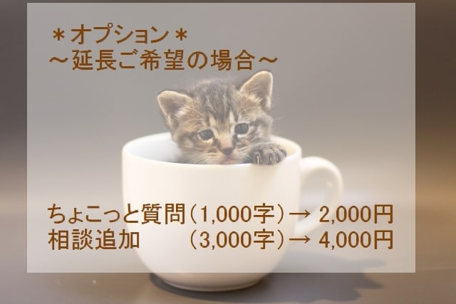 恋愛相談駆け込み寺★恋愛アドバイザーがお答えします 【悩んだら専門家に相談】経験値と心理学で客観的にお答えします イメージ4