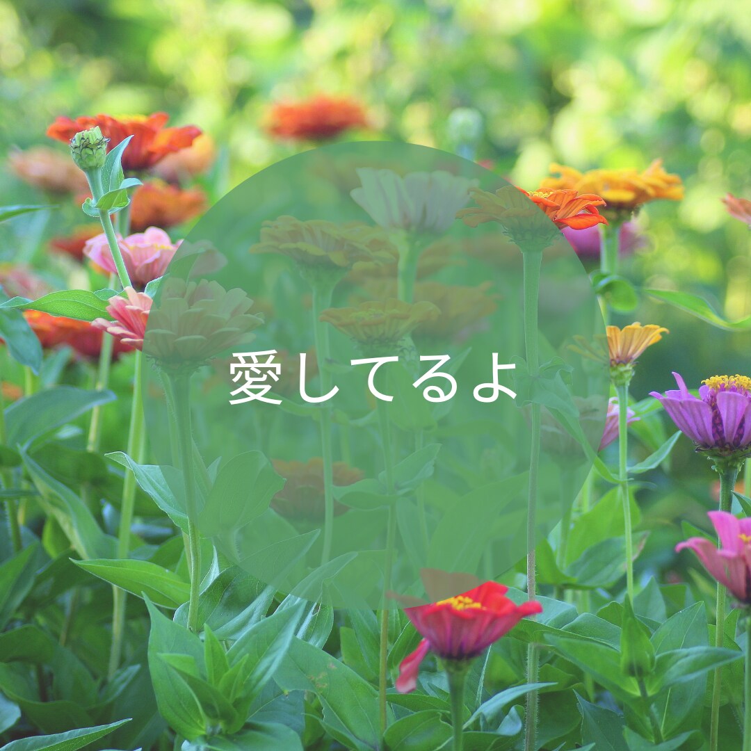 悩みが希望に変わると笑顔になります 気持ちを軽く波動も軽くし、欲しい未来を手にするお手伝いします イメージ4