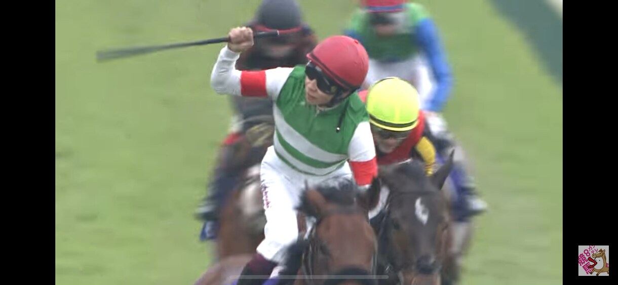 競馬の独自の見解と本命馬、推奨馬予想します あなたの予想を手助けします。展開から予想してます地方競馬も。 イメージ5