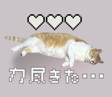 あなたのペットの写真でLINEスタンプ作ります 送っていただいた日常の写真をもとに12個制作！ イメージ7