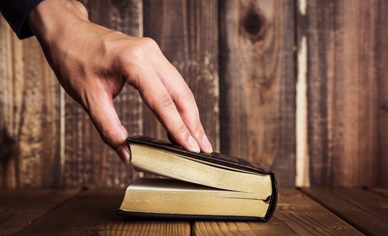 小説の添削アドバイスをいたします 添削、構成提案、改稿提案などを行います。 イメージ1