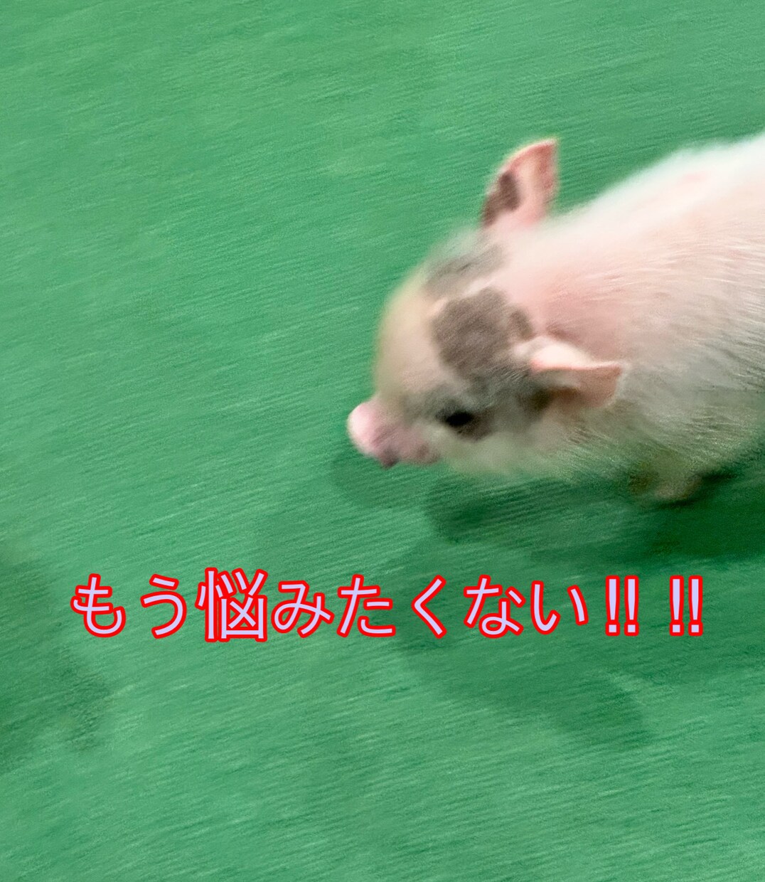 悩みがあって困っている方にプロが助言します プライベート、仕事、親子…今ある悩みを一緒に解決しましょう イメージ1