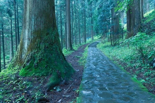 恋愛から不倫、人間関係など霊感霊視のみで鑑定します 本当に苦しくなった時お電話をお待ちしております…。 イメージ1